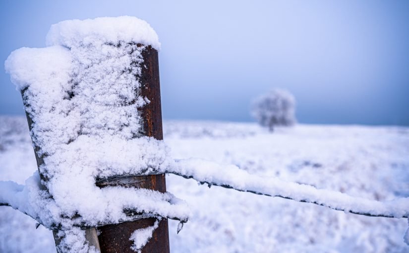 Морози до мінус 20° градусів та сніг: прогноз погоди в Україні на найближчі місяці ➤ Prozoro.net.ua