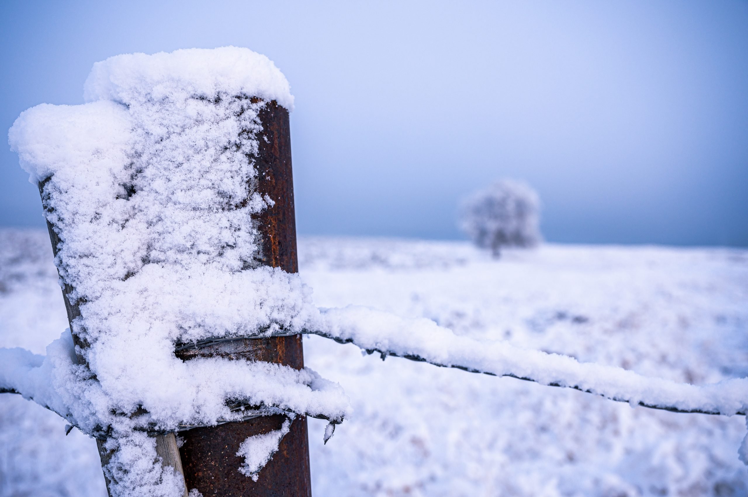 Морози до мінус 20° градусів та сніг: прогноз погоди в Україні на найближчі місяці