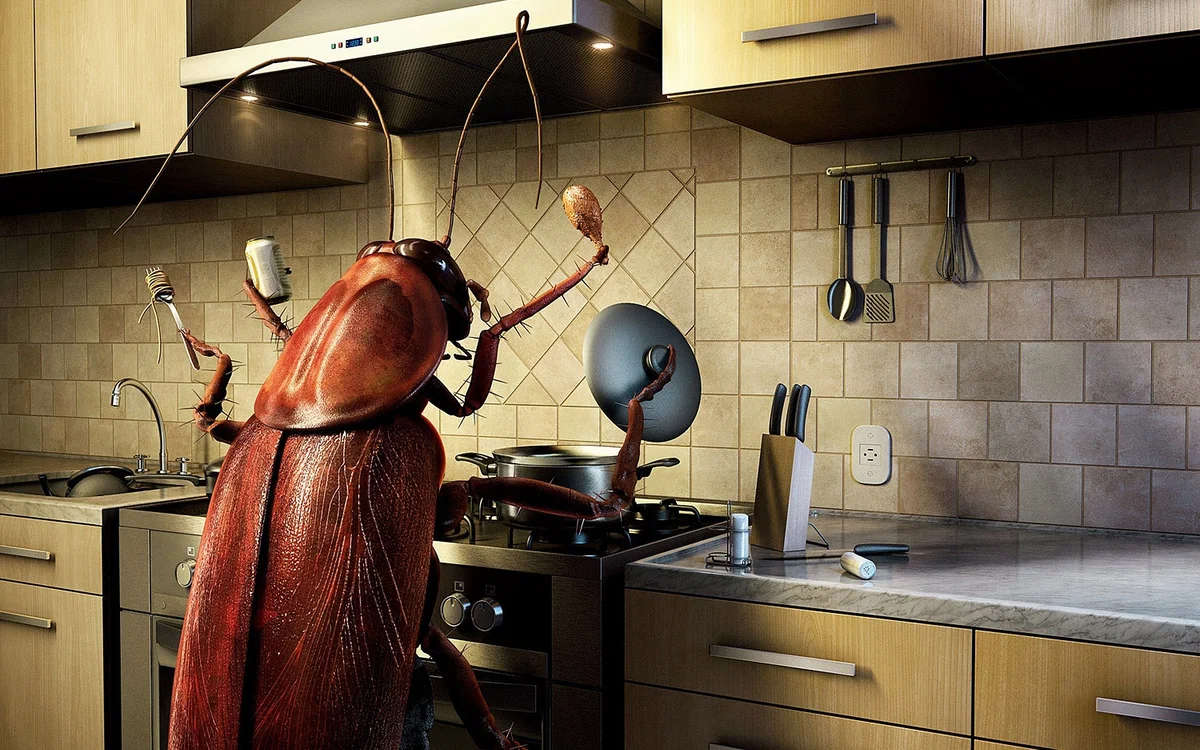 Як позбутися від тарганів на кухні: розкрито хитрий трюк ➤ Prozoro.net.ua