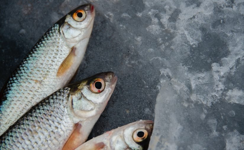 Почистити рибу швидко та без мороки: поради досвідчених рибалок ➤ Prozoro.net.ua