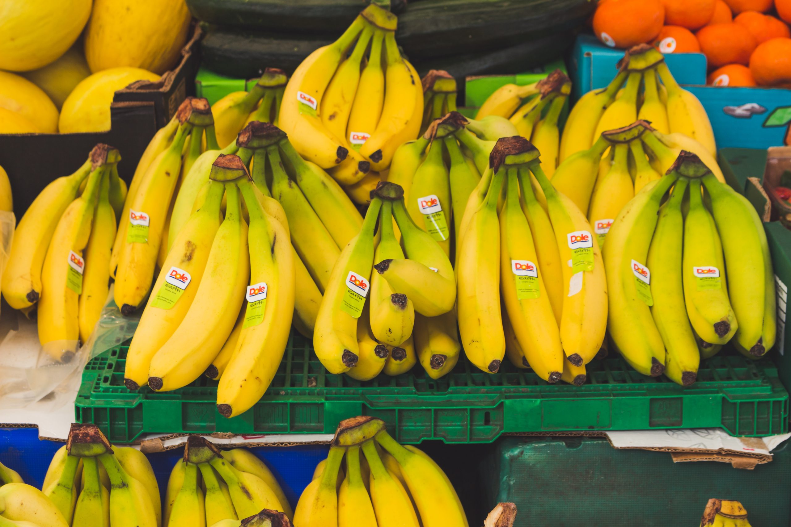 Нова небезпека: у світі можуть зникнути банани ➤ Prozoro.net.ua