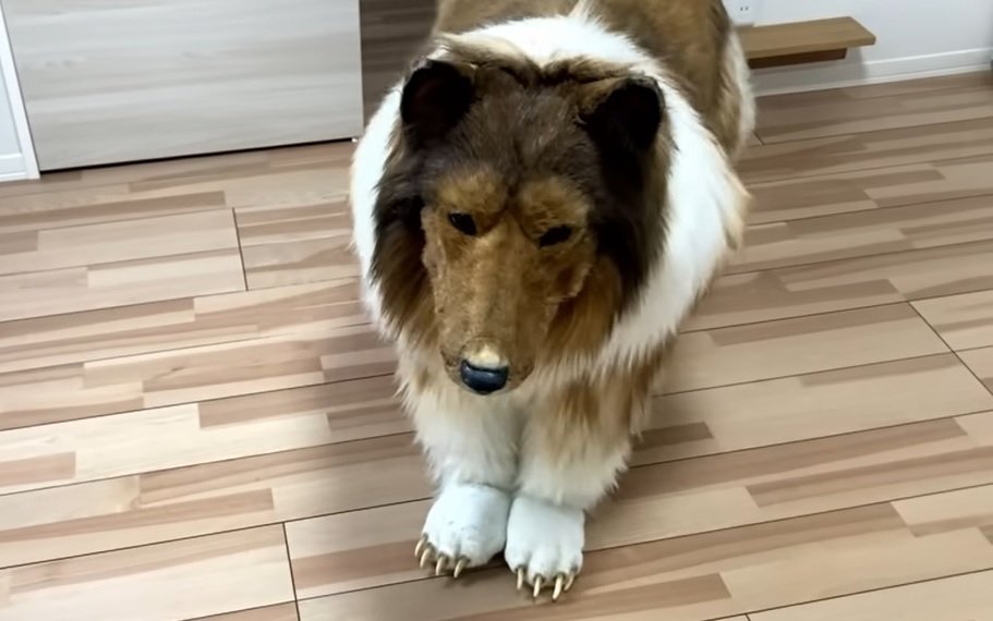 Чоловік витратив 11 тисяч доларів, щоб виглядати як собака: відео