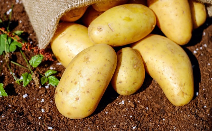 Як та де зберігати картоплю, щоб довше не псувалася ➤ Prozoro.net.ua