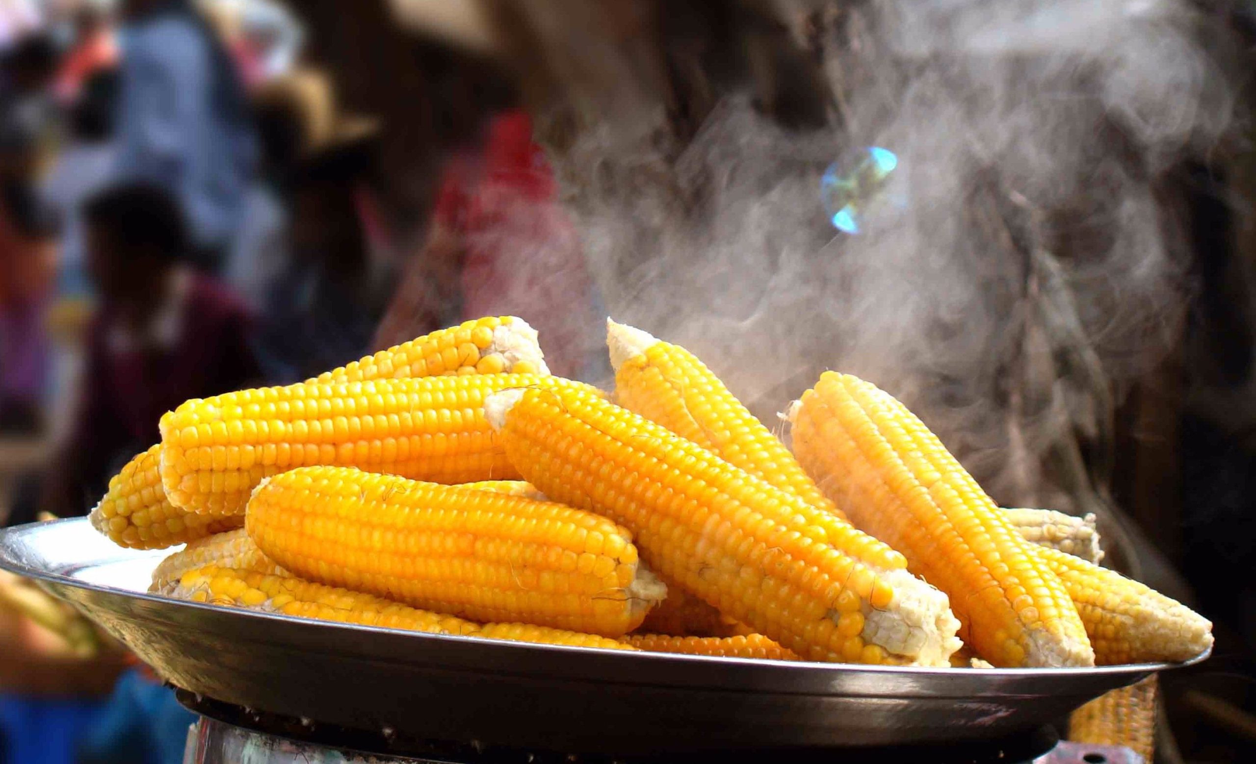 Як правильно варити молоду кукурудзу