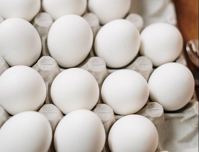 Тест з лотком яєць, який визначить характер ➤ Prozoro.net.ua