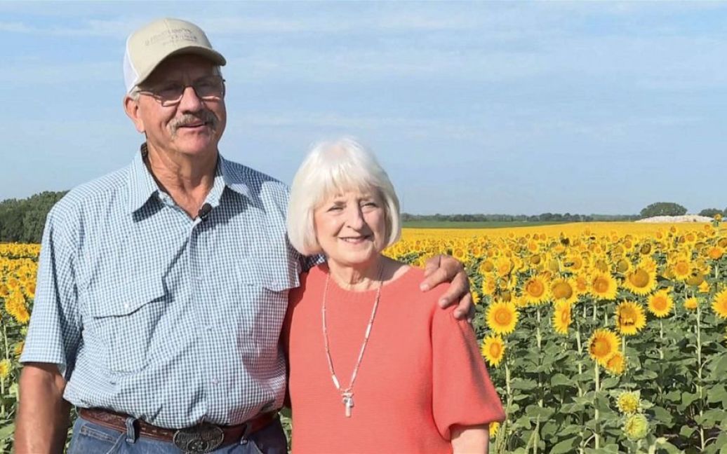 Фермер висадив мільйон соняшників для дружини: відео ➤ Prozoro.net.ua