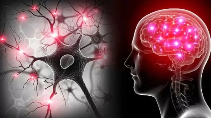 Як допомогти мозку краще працювати: поради нейробіологів ➤ Prozoro.net.ua