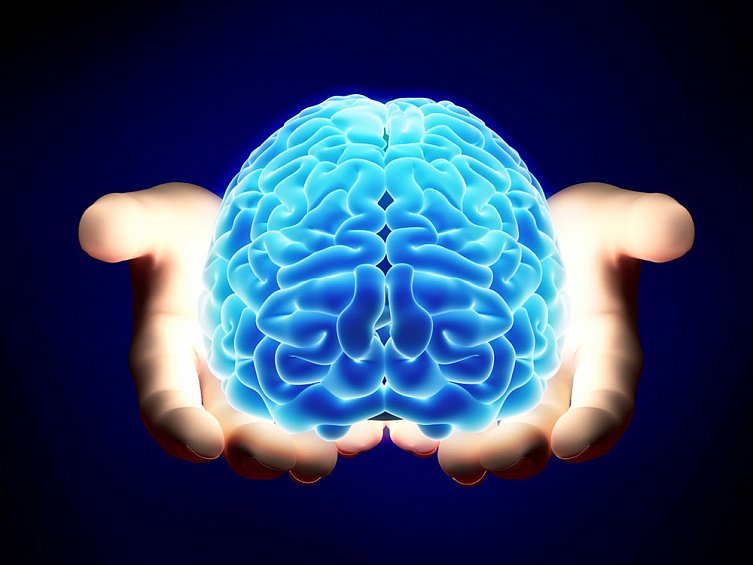 Як допомогти мозку краще працювати: поради нейробіологів
