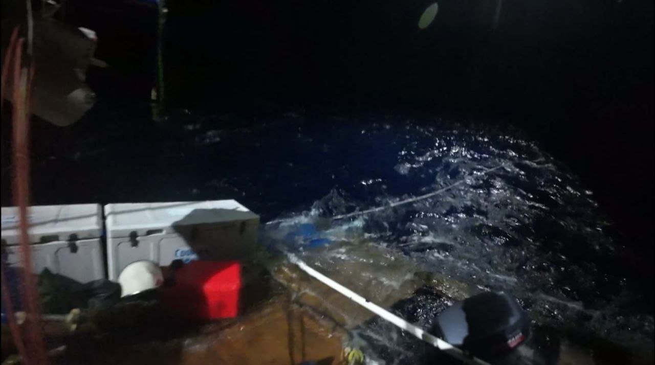Акули атакували катамаран із росіянами в Кораловому морі: фото