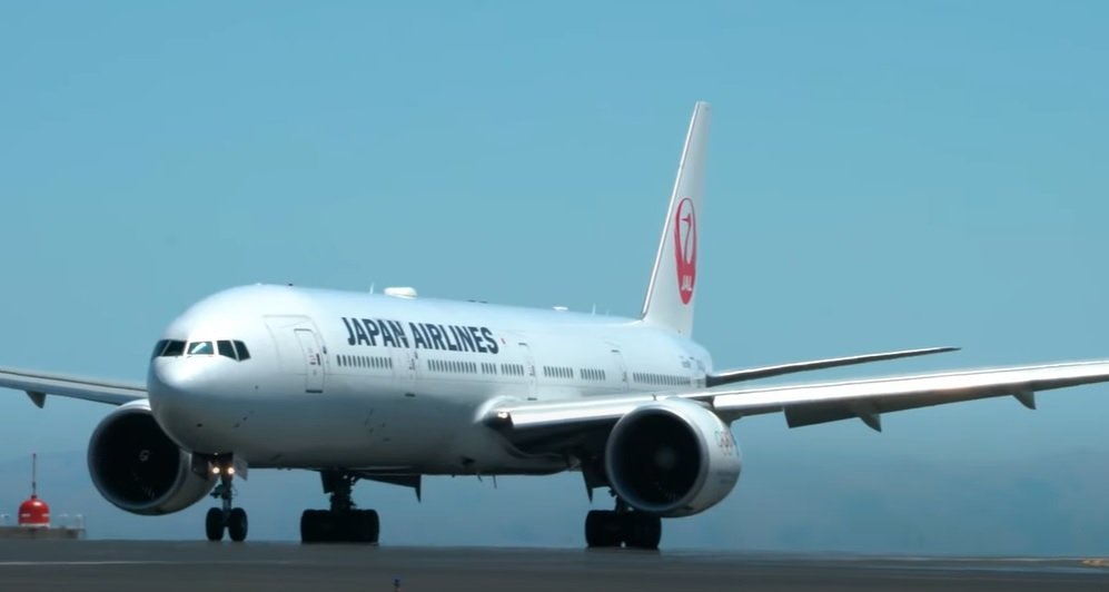 Сумоїсти змусили Japan Airlines придбати новий літак ➤ Prozoro.net.ua