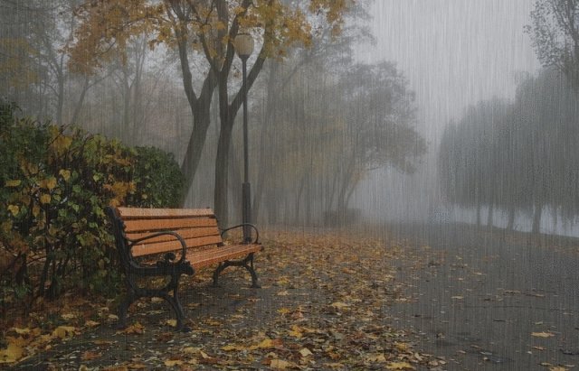 Погода в Україні до кінця жовтня