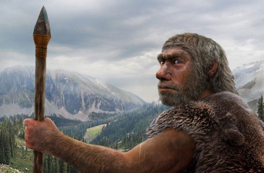 Який вигляд мали неандертальці з волоссям та без: фото ➤ Prozoro.net.ua