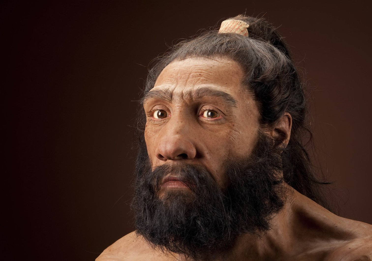 Який вигляд мали неандертальці з волоссям та без: фото