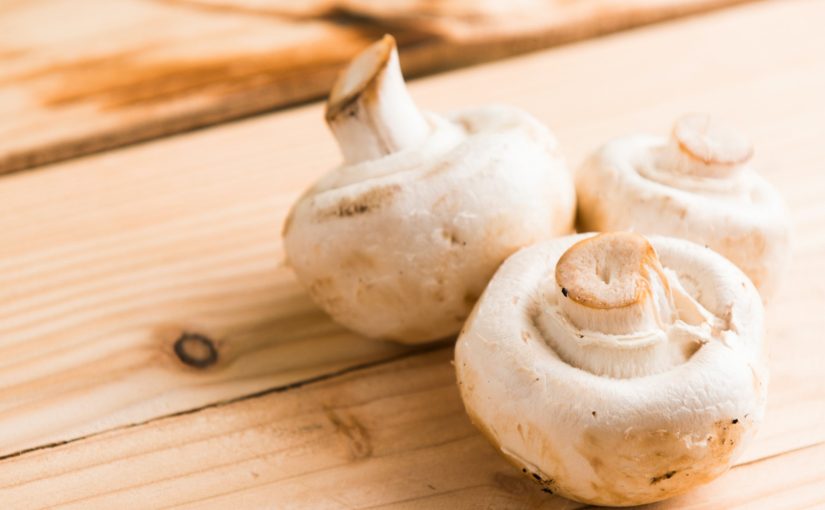 Популярні гриби врятують вас від депресії – дослідження ➤ Prozoro.net.ua