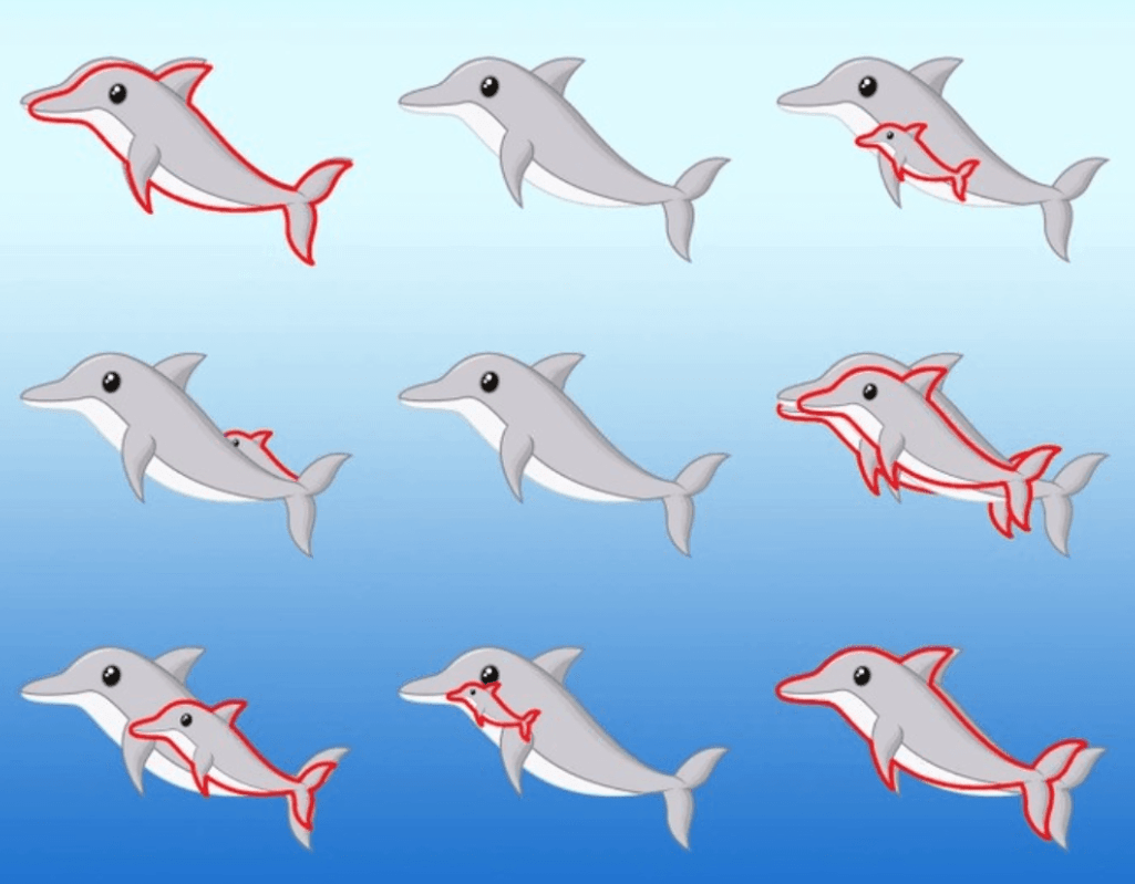 Головоломка з дельфінами