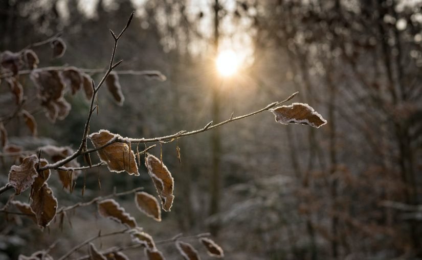Найдовша ніч 2023 року: коли день зимового сонцестояння ➤ Prozoro.net.ua