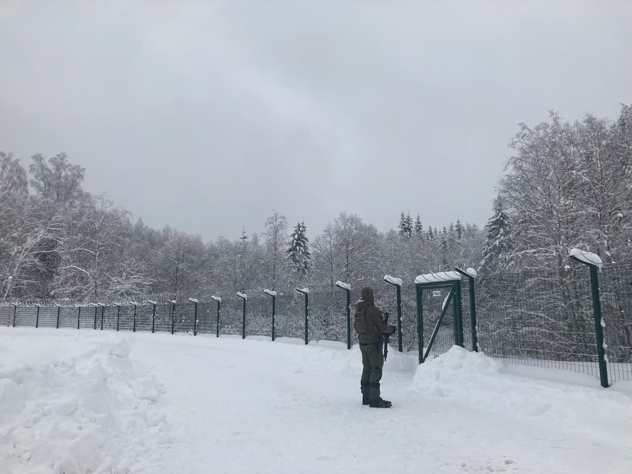 Естонія побудувала 40-кілометровий паркан вздовж кордону з Росією ➤ Prozoro.net.ua