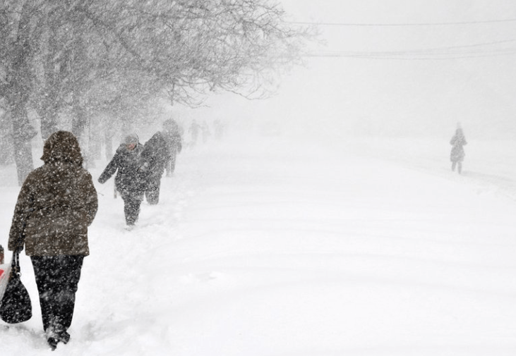 У Києві посеред зими спостерігали рідкісне природне явище: відео
