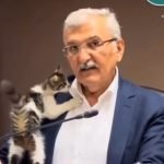 Кошеня ледь не зірвало засідання в мерії турецького міста: відео  ➤ Prozoro.net.ua