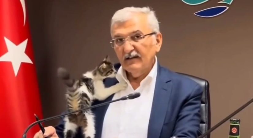 Кошеня ледь не зірвало засідання в мерії турецького міста: відео  ➤ Prozoro.net.ua