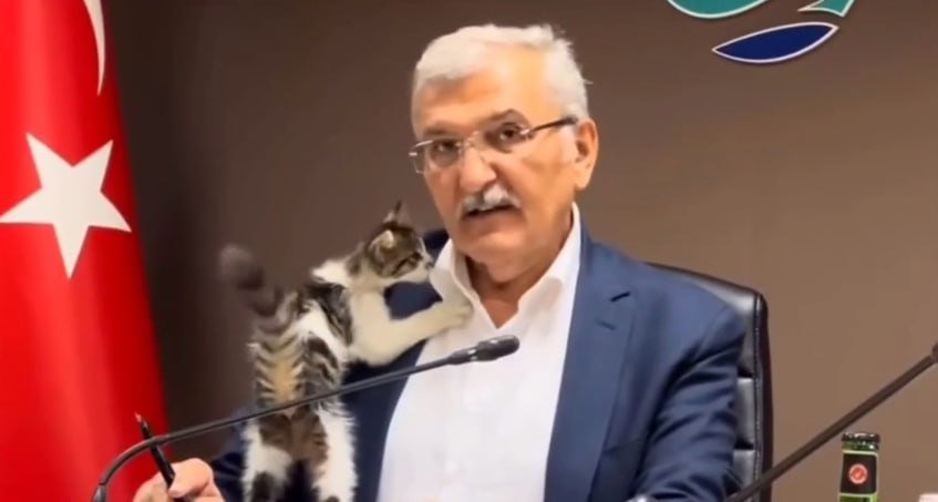 Кошеня ледь не зірвало засідання в мерії турецького міста: відео 