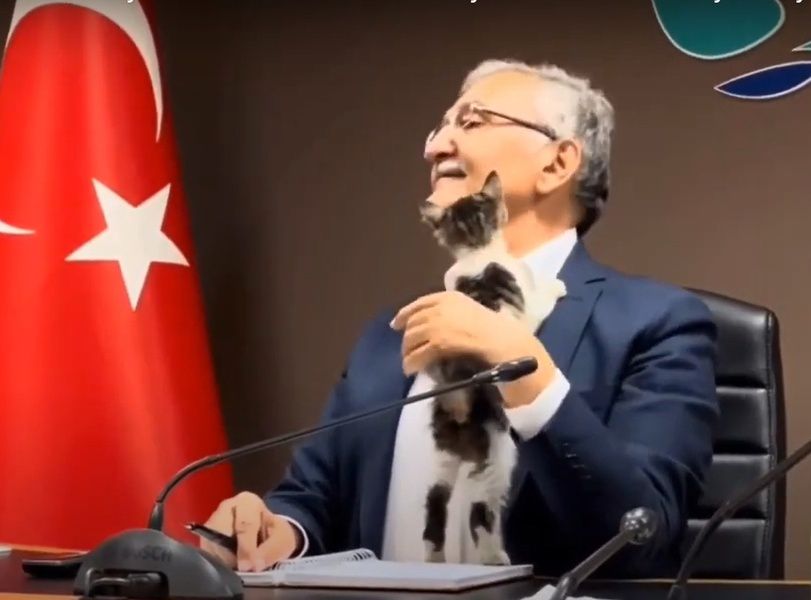 Кошеня ледь не зірвало засідання в мерії турецького міста: відео 