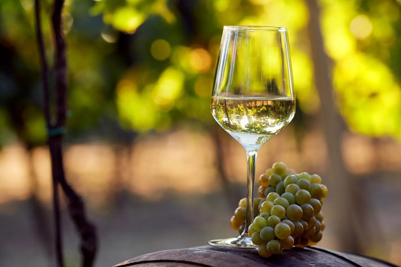 Що буде з організмом, якщо пити біле вино щодня ➤ Prozoro.net.ua