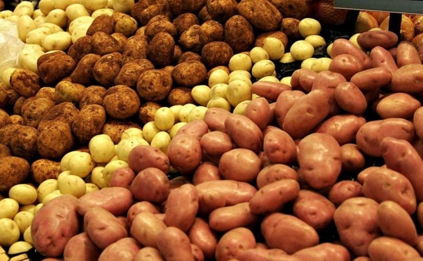 Розбираємося в різних сортах картоплі: яка підходить для пюре, а яка – для смаження ➤ Prozoro.net.ua