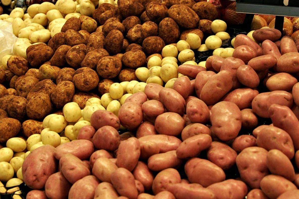 Розбираємося в різних сортах картоплі: яка підходить для пюре, а яка – для смаження