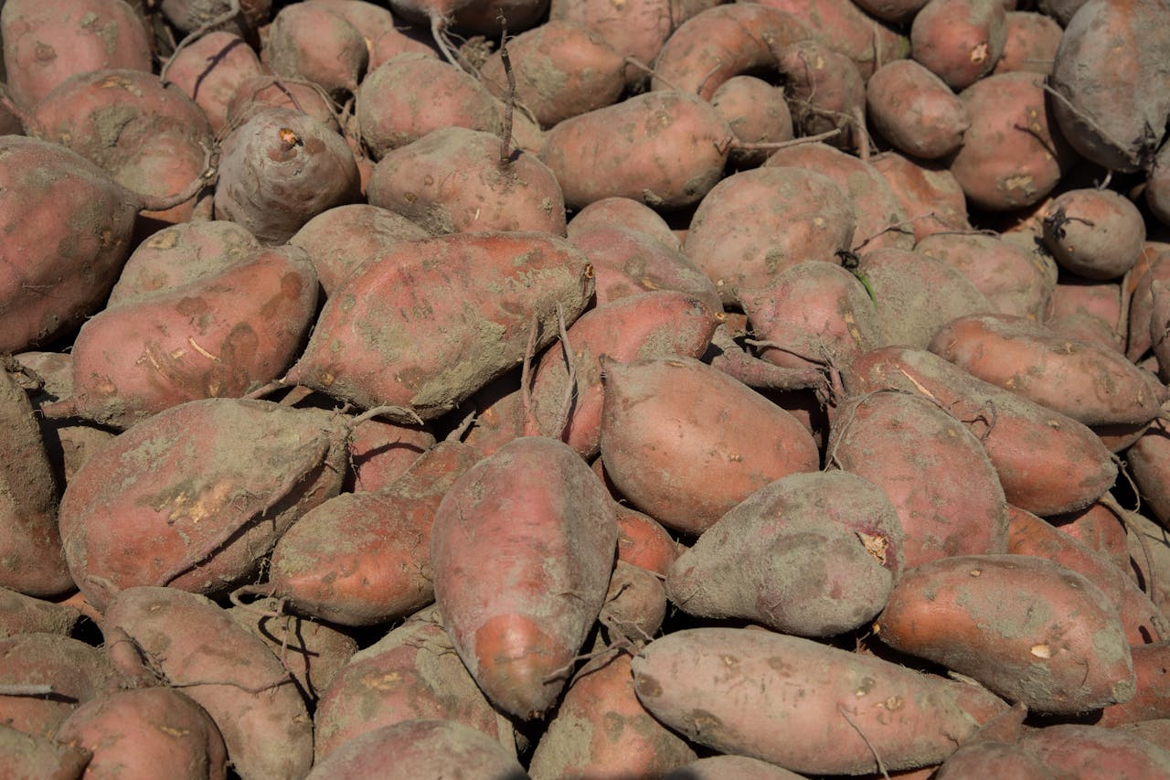 В Україні стрімко здешевшала картопля