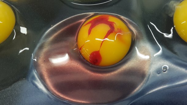 Чи небезпечні червоні та коричневі плямки в курячому яйці ➤ Prozoro.net.ua