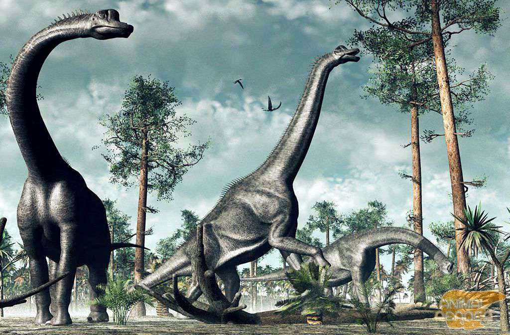В Україні жили динозаври: знайдені скелет і гніздо з яйцями