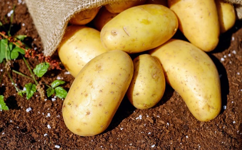 Ціни на картоплю злетіли: в Україні вони втричі вищі, ніж торік ➤ Prozoro.net.ua