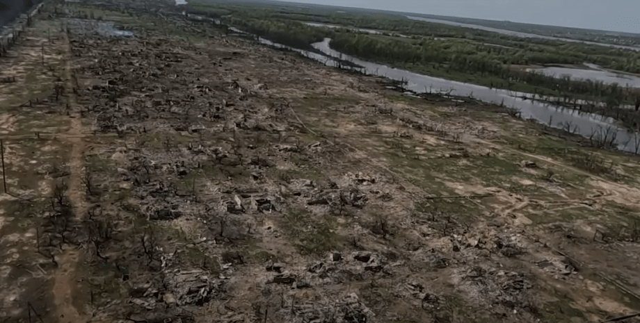 Ситуація в Кринках: аналітики ISW дали свою оцінку