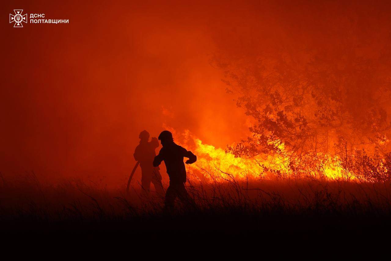 Сильна лісова пожежа накрила Полтавщину: людей евакуювали з електрички (фото)