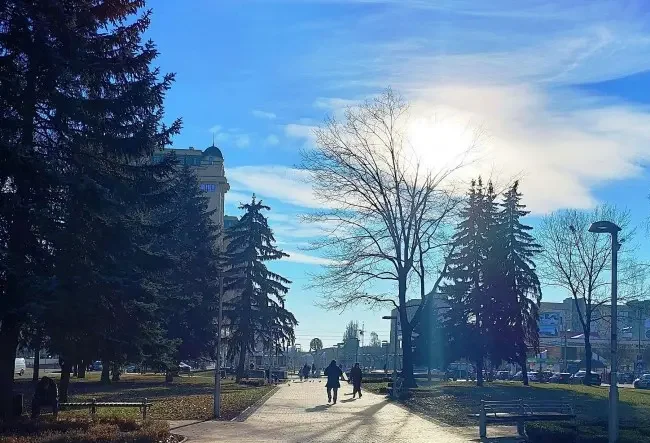 Чому зими стали теплими та куди зник сніг