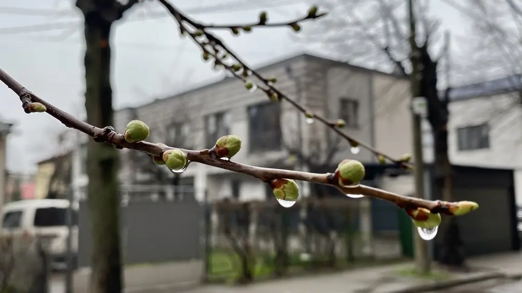 погода весною - погода у беезні