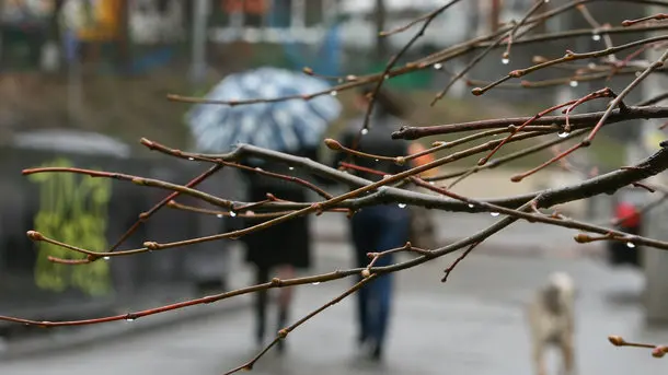 погода весною - погода у беезні