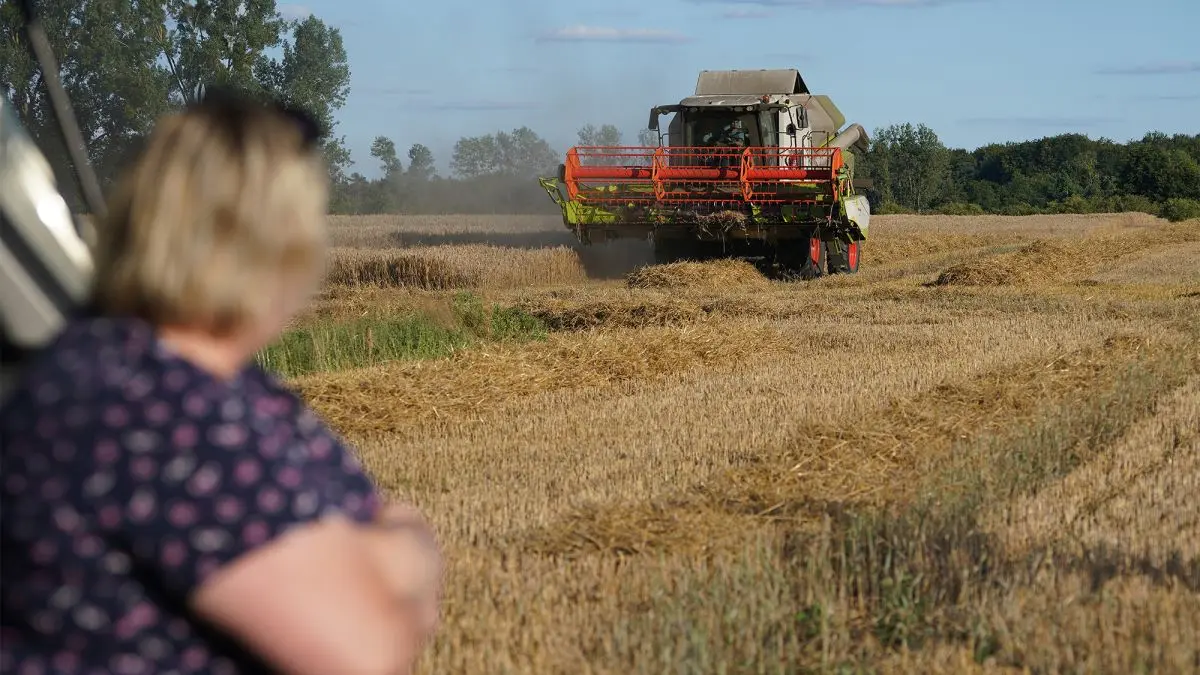 Рекордні ціни на землю в Україні: що буде далі