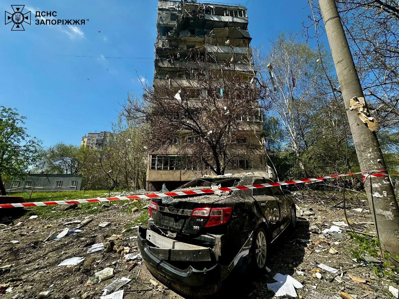 Поранений пес залишився біля тіла загиблої жінки після удару по Запоріжжю
