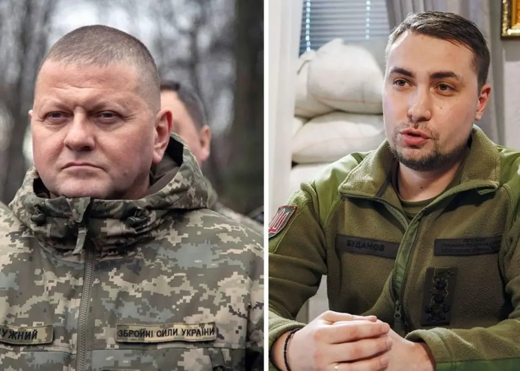 Залужний Буданов Білецький