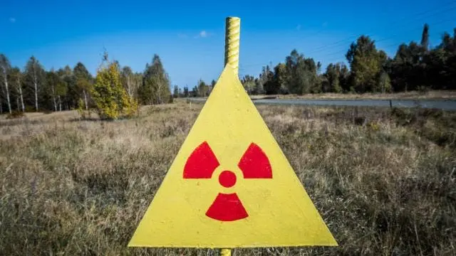 Землі біля Чорнобиля можуть годувати Україну: вчені зробили заяву