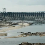 Природа відновлюється: на дні Каховського водосховища виріс ліс висотою до 8 метрів (фото) ➤ Prozoro.net.ua
