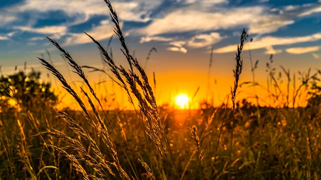 Спека,синоптики,літо в україні,кліматичні зміни,найгарячіші місяці Спека погода в Україні літо