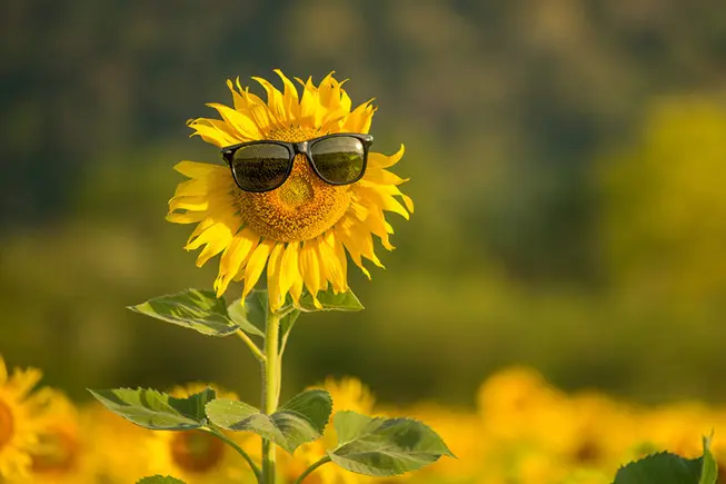 Спека до +40°C? Синоптики попередили, яким може бути літо в Україні