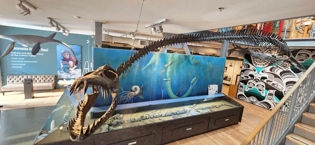 У Канаді,еласмозавр,Traskasaura sandrae У Канаді В Канаді знайшли морське чудовисько з рисами із майбутнього. Науковці відкрили Traskasaura sandrae