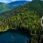 Закарпатська область, а не Ужгородська: історик пояснив ➤ Prozoro.net.ua