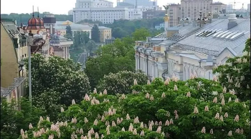 Чому Київ став містом каштанів: як звичне дерево перетворилося на символ столиці