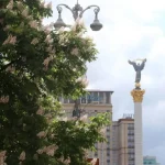 Чому Київ став містом каштанів: як звичне дерево перетворилося на символ столиці ➤ Prozoro.net.ua