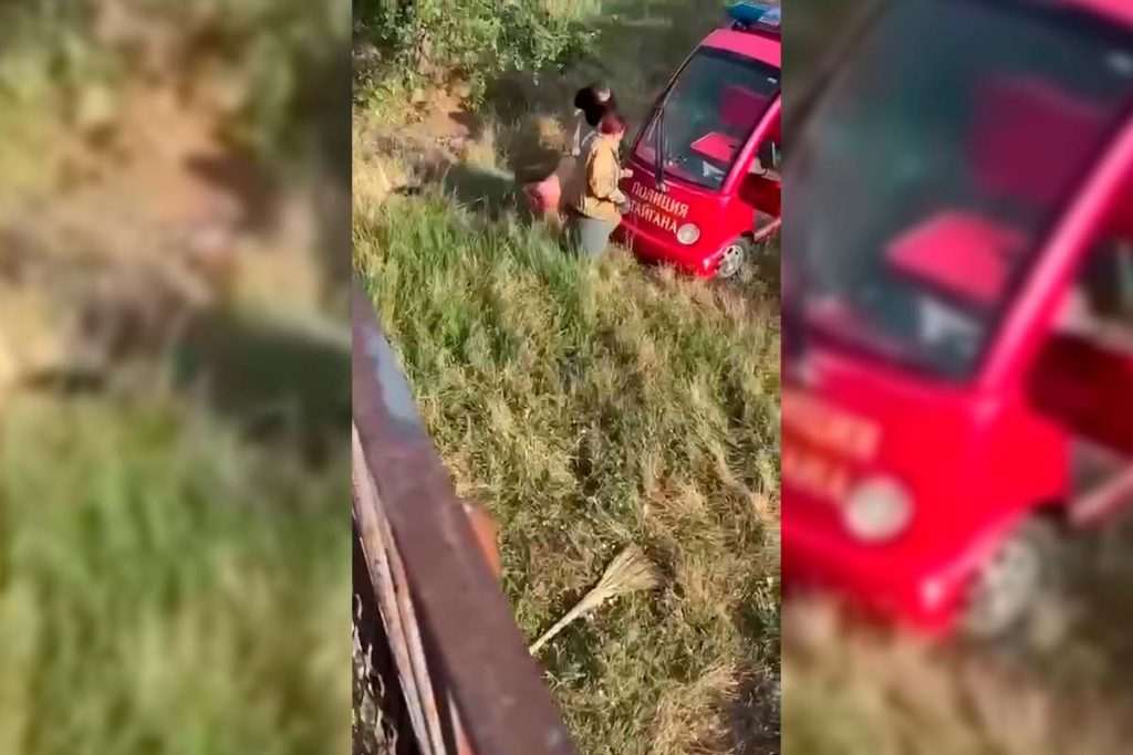 Лев,Напад лева на Зубкова в Криму,зубков олег тайган Лев Напад лева на Зубкова в Криму